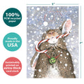 Load image into Gallery viewer, Joyful Wishes 2 Pack
