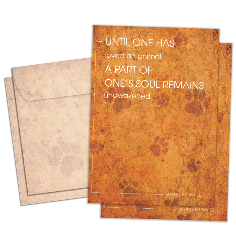 Unawakened Soul 2 Pack