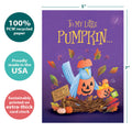 Load image into Gallery viewer, Pumpkin Birds 2 Pack
