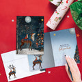 Load image into Gallery viewer, Starry Wonder
