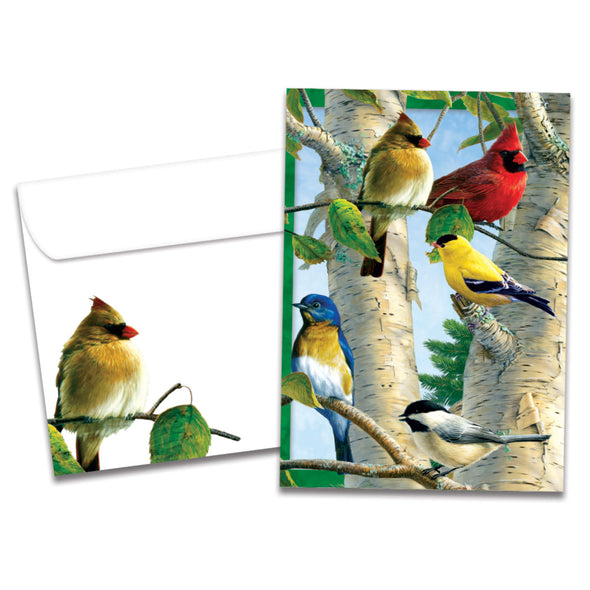 The cover of Tree-Free's Favorite Songbirds All Occasion Card card, along with its matching envelope.