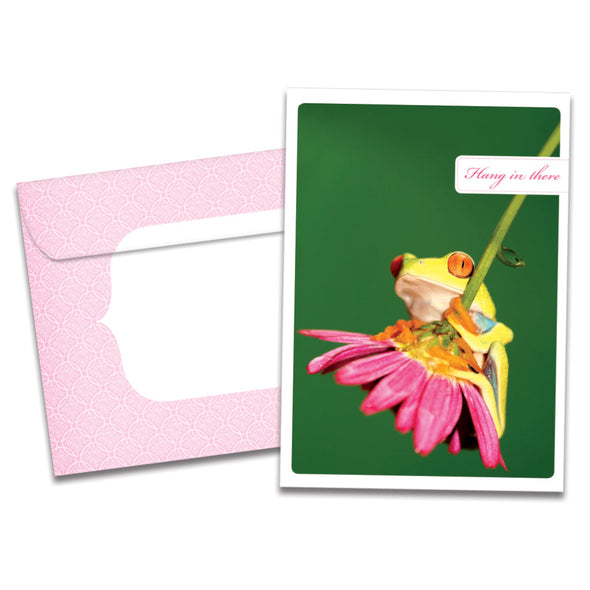 The cover of Tree-Free's Hang In There card, along with its matching envelope.