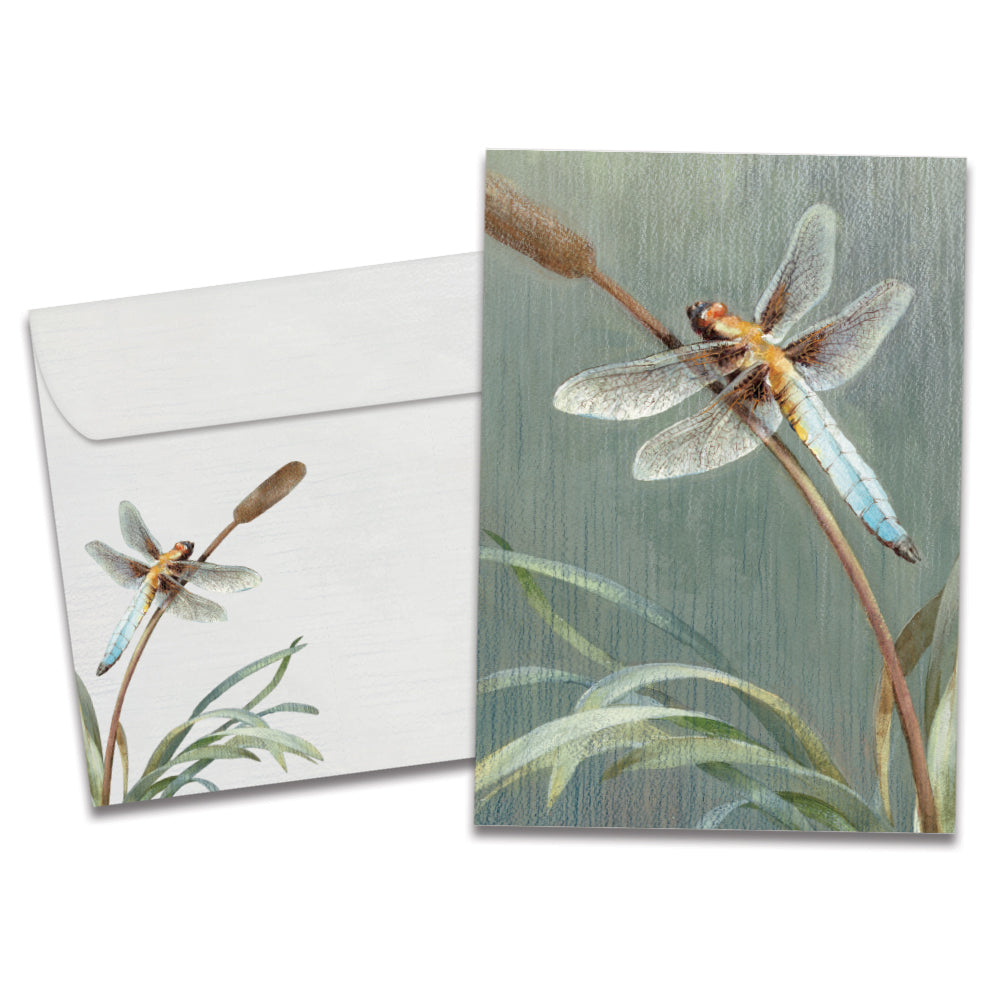 Cover of Dragonfly Sympathy card (featuring artwork of a dragonfly resting on a cattail) and its matching envelope