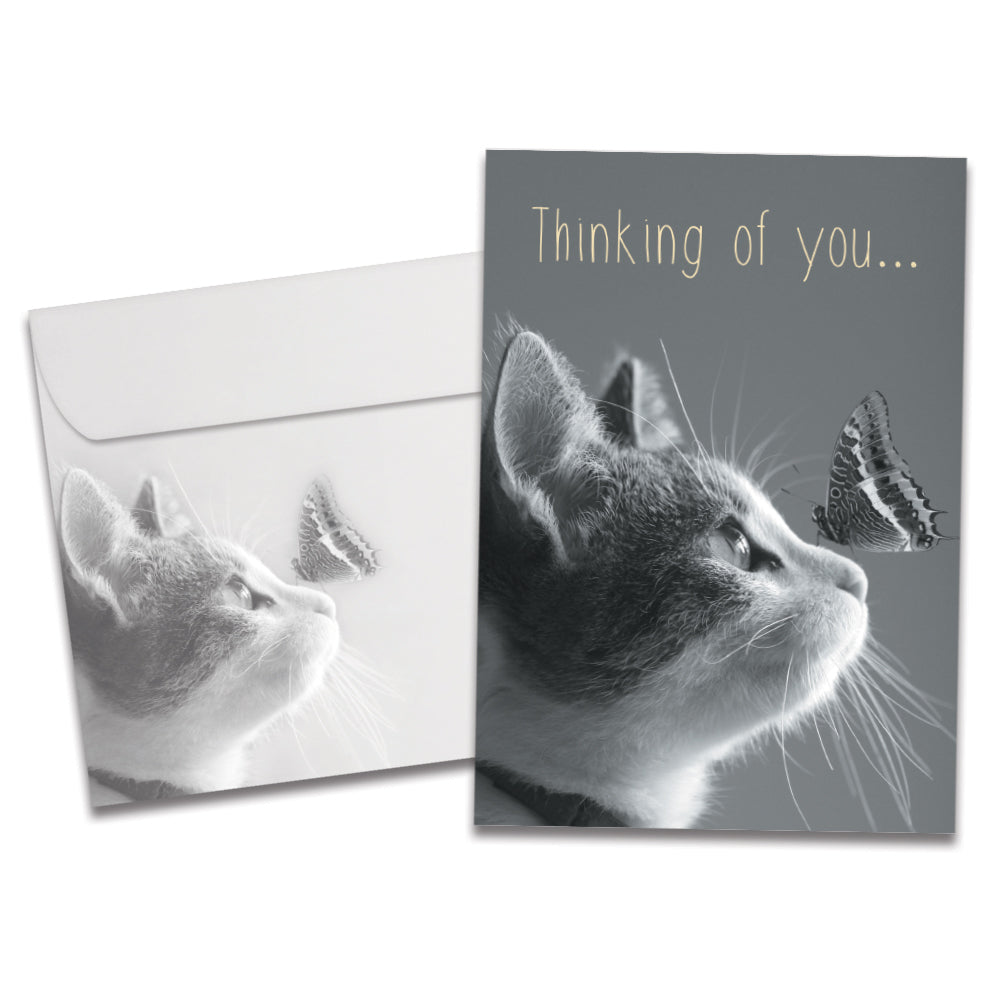 The cover of Tree-Free's Thoughts Of You Friendship Card card, along with its matching envelope.
