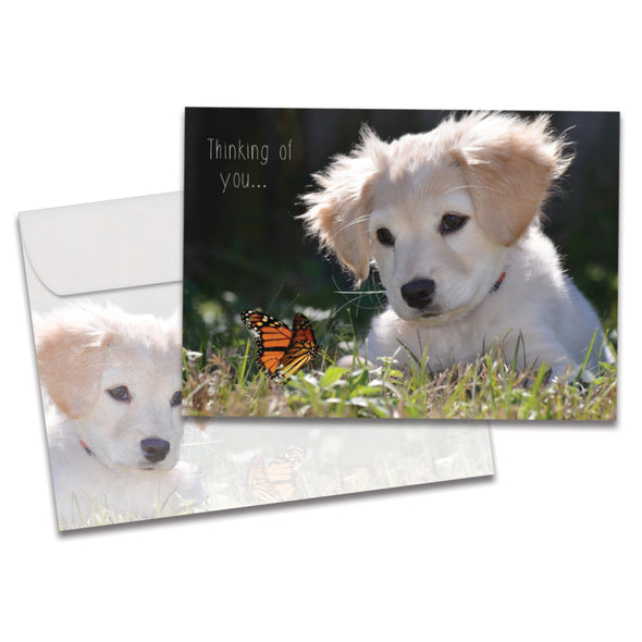 The cover of Tree-Free's Butterfly Thoughts card, along with its matching envelope.