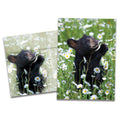 Load image into Gallery viewer, Daisy Bear All Occasion Card
