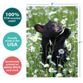 Load image into Gallery viewer, Daisy Bear All Occasion Card
