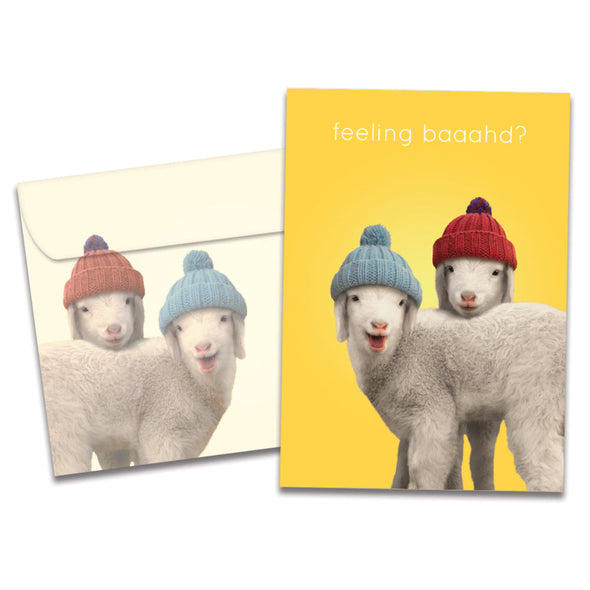 The cover of Tree-Free's Feeling Baaahd card, along with its matching envelope.