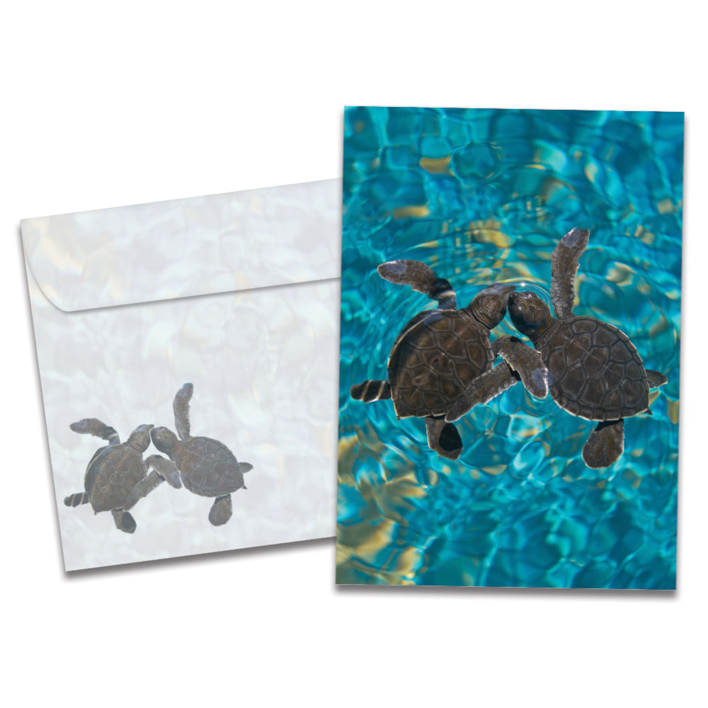 The cover of Tree-Free's Sea Turtle Pals Friendship Card card, along with its matching envelope.