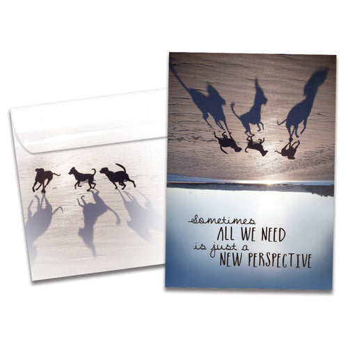 The cover of Tree-Free's New Perspective card, along with its matching envelope.