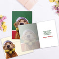 Load image into Gallery viewer, The inside of Tree-Free’s A Lot Of Balls card, with the cover and envelope in the background.
