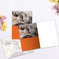 Load image into Gallery viewer, The inside of Tree-Free’s Adult Today All Occasion Card card, with the cover and envelope in the background.
