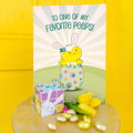 Load image into Gallery viewer, Lifestyle image(s) featuring Tree-Free’s Favorite Peep card

