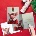 Load image into Gallery viewer, Pig Mistletoe
