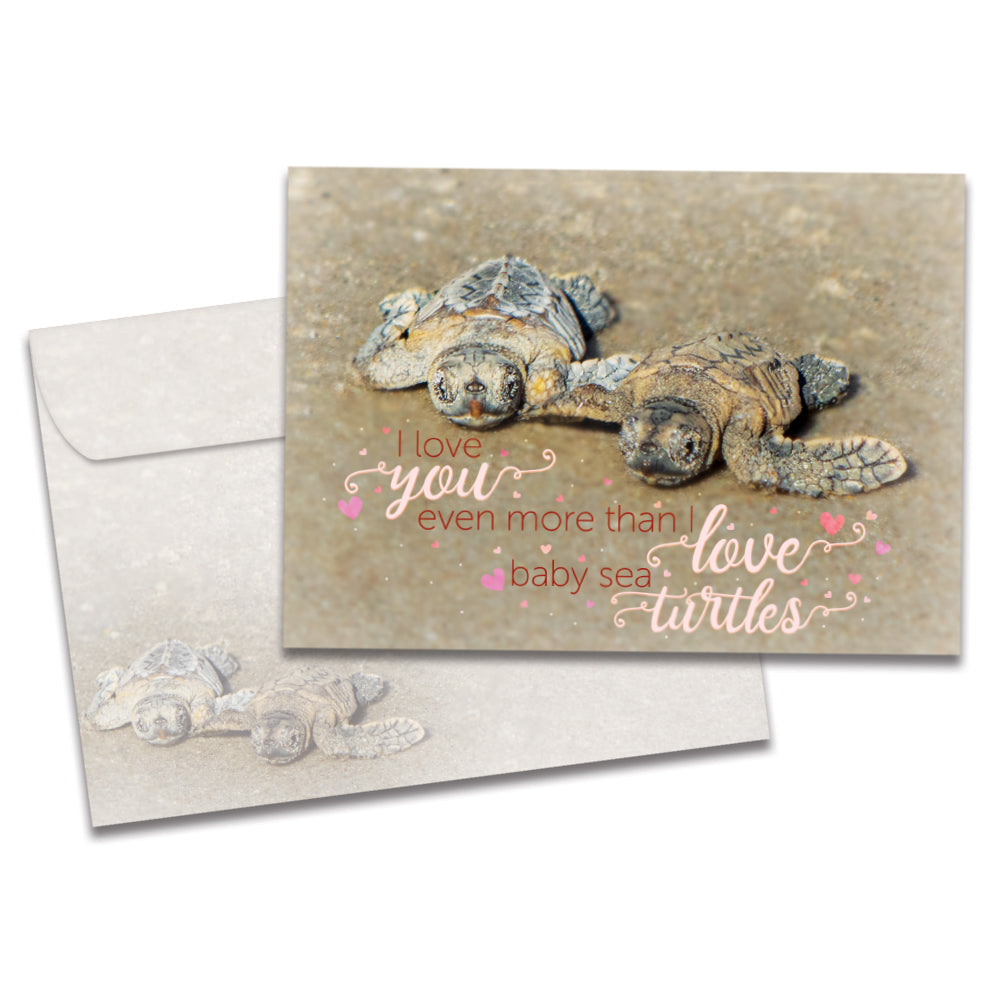 Love You More Than Turtles Valentine's Day Greeting Card