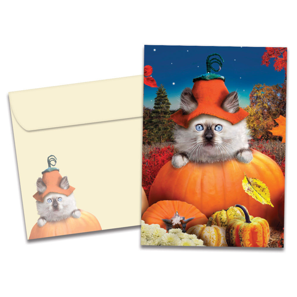 Pumpkin Kitty Halloween Card