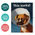 Load image into Gallery viewer, Cone of Shame
