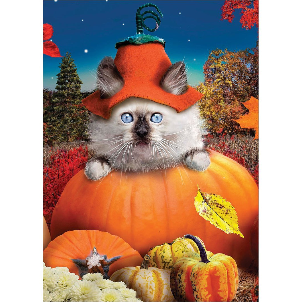 Pumpkin Kitty