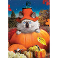 Load image into Gallery viewer, Pumpkin Kitty
