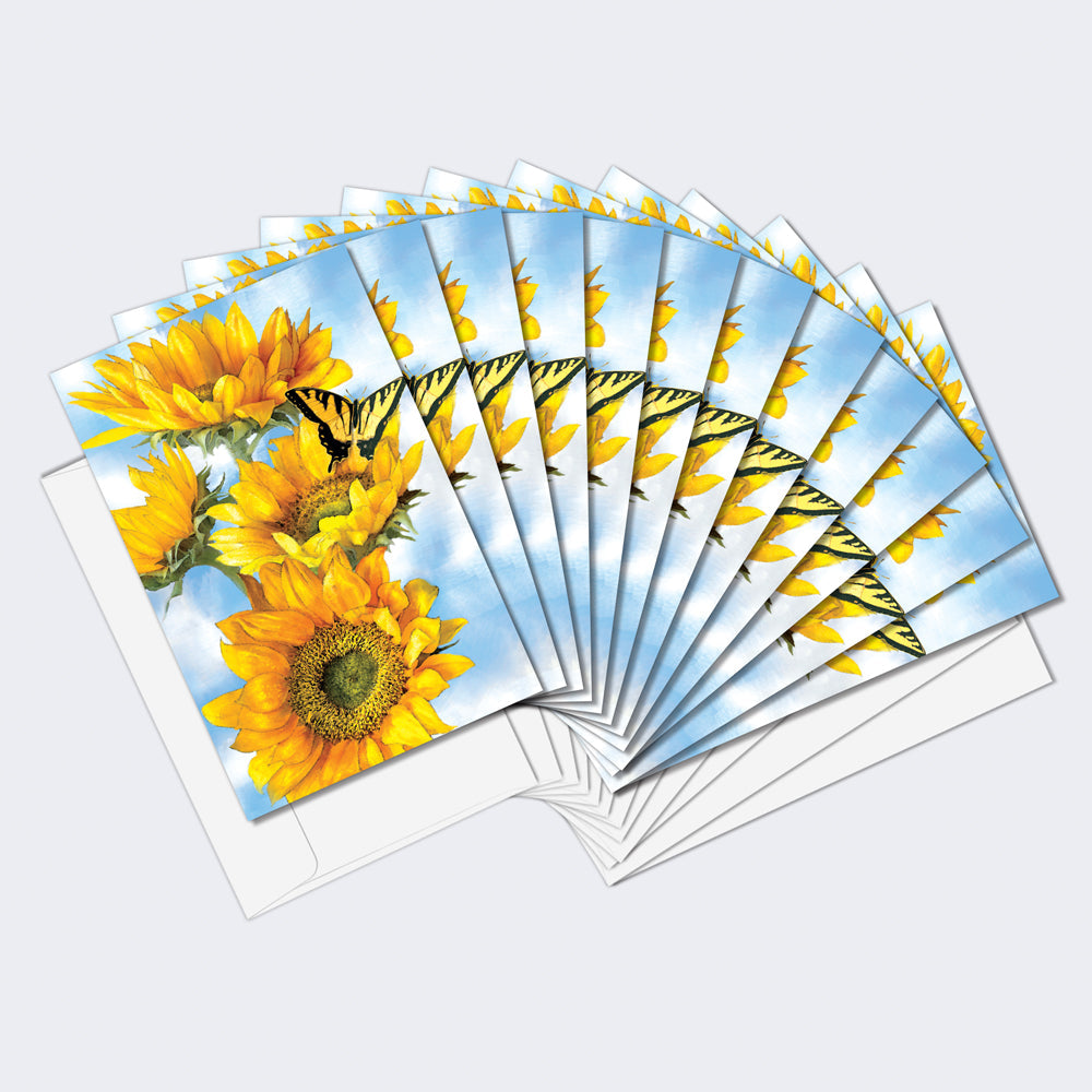 You Brightened My Day Thank You Cards 12 Pack