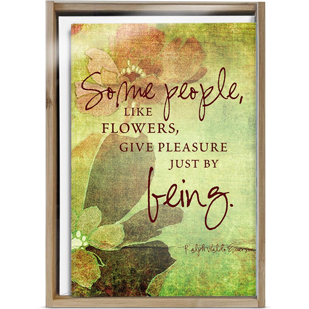Some People All Occasion 4x6 Bamboo Box Notecard Sets