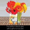 Load image into Gallery viewer, Sunflowers All Occasion 4x6 Blank Notecard  Assortment

