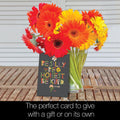 Load image into Gallery viewer, Be Kind All Occasion 4x6 Blank Notecard  Assortment
