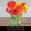 Load image into Gallery viewer, Mind Body Soul 4x6 Blank Notecard  Assortment
