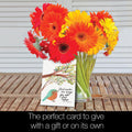 Load image into Gallery viewer, Blessings Quotes 4x6 Blank Notecard  Assortment
