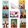 Load image into Gallery viewer, Lucia Heffernan Animal Humor Birthday 8 pack
