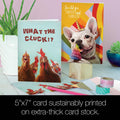 Load image into Gallery viewer, Lucia Heffernan Animal Humor Birthday 8 pack
