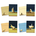 Load image into Gallery viewer, Yoga Chick Collection B 8 Pack Assortment
