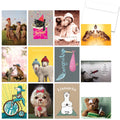 Load image into Gallery viewer, Animal Wishes  48 Pack Assortment
