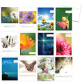 Load image into Gallery viewer, Picture Perfect  48 Pack Assortment
