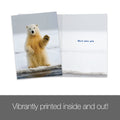 Load image into Gallery viewer, Polar Farewell 2 Pack
