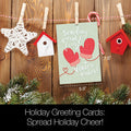 Load image into Gallery viewer, Fuzzy Mittens Holiday 12 Pack
