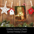 Load image into Gallery viewer, Gentle Kindness Solstice 12 Pack
