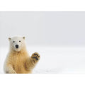 Load image into Gallery viewer, Polar Farewell
