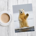 Load image into Gallery viewer, Polar Farewell
