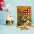 Load image into Gallery viewer, Not For Pussies
