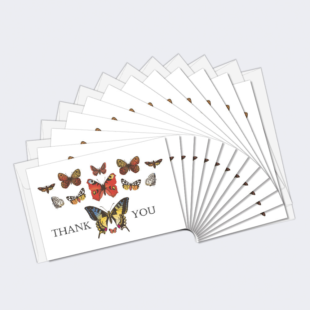 White Butterfly Sympathy 2 12 Pack