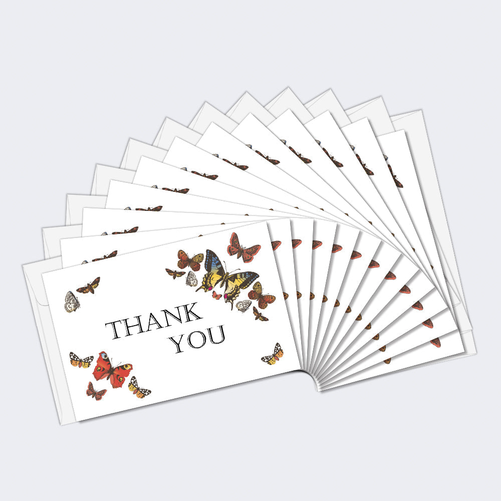 White Butterfly Sympathy 3 12 Pack