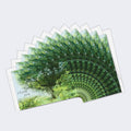 Load image into Gallery viewer, Sacred Trees Sympathy 2 12 Pack
