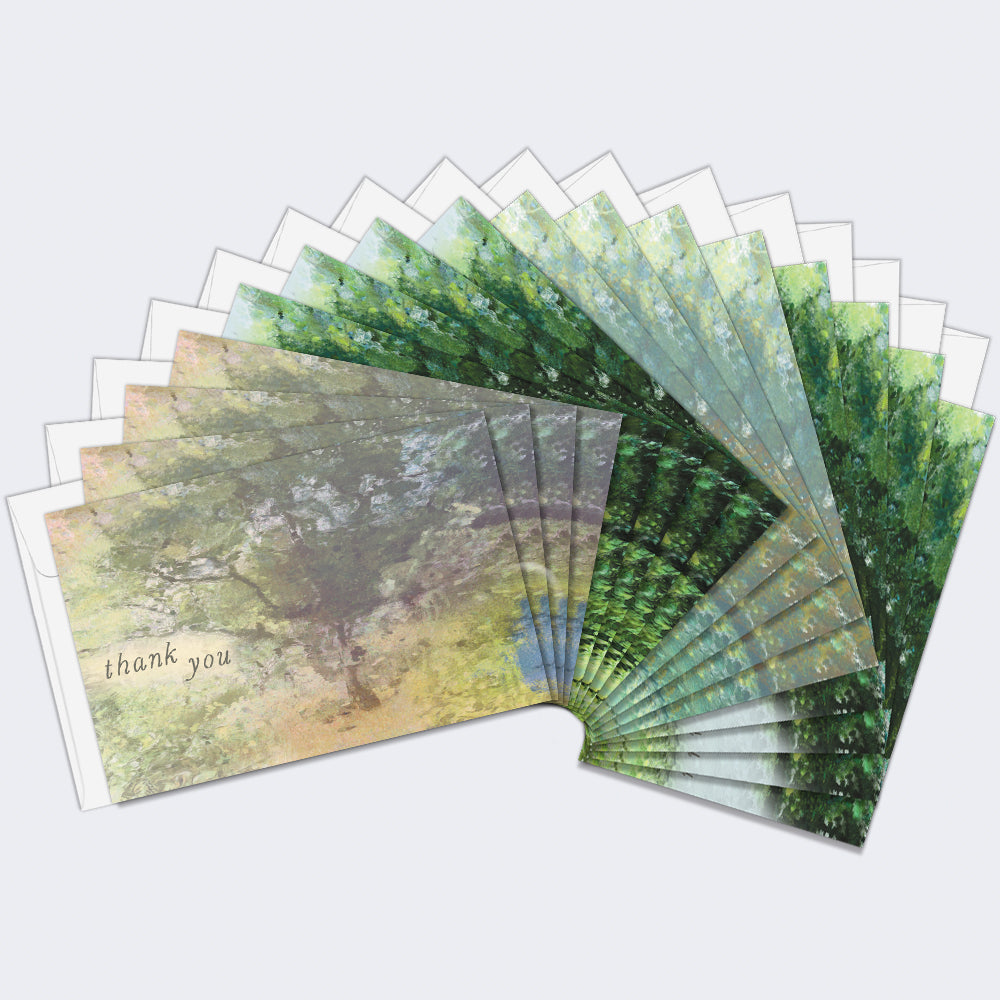 Sacred Trees Sympathy 16 Pack