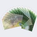 Load image into Gallery viewer, Sacred Trees Sympathy 16 Pack
